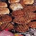Steakburgers