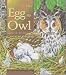 Egg to Owl (Cycles of Life)