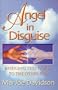 Angel in disguise: Bridging this world to the other side