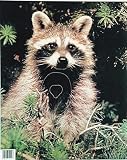 Martin Archery Game Targets - Raccoon