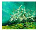 Apple tree in spring landscape Image