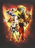 Street Fighter V Collector's Edition