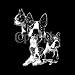 Boston Terrier - Cats and Dogs Premium T-Shirt