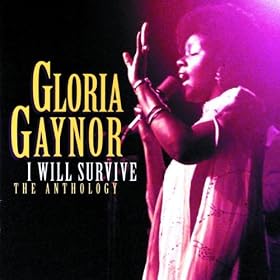 I Will Survive (Album Version)