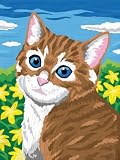 Eigenschaften SES creative 01502 / SES creative 01502 - Malen nach Zahlen Katze
