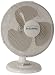 Kitchen & Housewares : In-Cuisine WDF16 16? Oscillating Desk Fan (White)