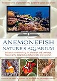 Anemonefish: Natures Aquarium DVD