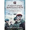 Fighting Brigadier: The Life of Brigadier James Hill DSO** MC