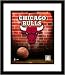 Chicago Bulls NBA Framed 8x10 Photograph Team Logo and Basketball