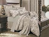 Salvona 8-Piece Silk Touch Queen Comforter Set, Gray