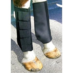 http://www.amazon.com/dp/B003PBKQQY/ref=as_li_tf_tl?ie=UTF8&camp=1789&creative=9325&creativeASIN=B003PBKQQY&linkCode=as2&tag=shoesonline0b-20