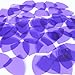 Sequin Shield 1