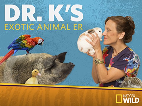 Watch Dr. K's Exotic Animal ER Episodes | Season 4 | TV Guide