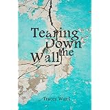 Tearing Down the Wall (Survival Series #3)