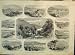 French Riviera Health Resorts 1887 Monte Carlo Cannes