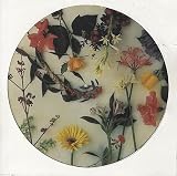 Scritti Politti Absolute 1984 UK 12" picture disc VSY68012