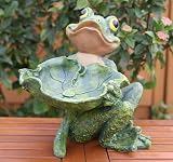 Frosch Dekofigur, Vogeltraenke, Wetterfest handbemalt