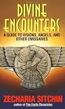 Divine Encounters: A Guide to Visions, Angels and Other Emissaries