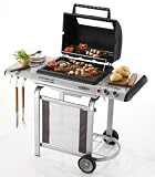 Campingaz 204543 Gasgrill C-Line? 1900