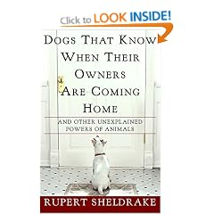 Dogs That Know When Their Owners Are Coming Home: And Other Unexplained Powers of Animals : An Investigation