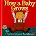 How a Baby Grows