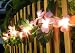 Pink Frangipani Flower Party String Lights (20/set)