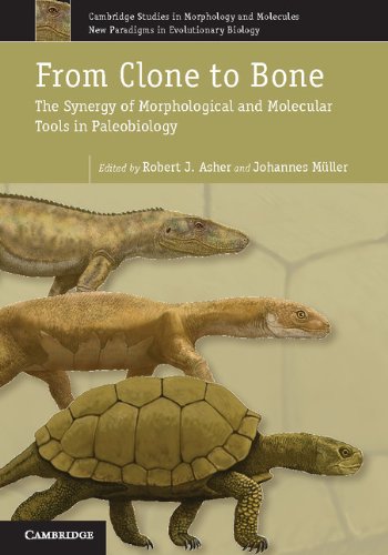 From Clone to Bone (Cambridge Studies in Morphology and Molecules: New Paradigms in Evolutionary Bio)