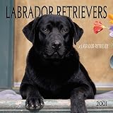 Labrador Retrievers 2001 Calendar