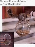 Squirrel Free Bird Feeder Corn Seeds Peanuts Set of 2