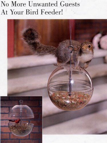 Squirrel Free Bird Feeder Corn Seeds Peanuts Set of 2