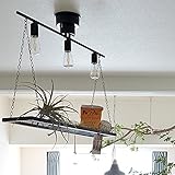 シーリングライト PASSE（パッセ） 3灯 (電球付属なし（本体のみ）)