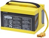 Peg Perego KB0018 - Batterie 24V 15Ah fuer 24V Fahrzeuge