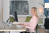 Ergotron NeoFlex LCD Arm mit Verlängerung