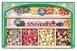 Flower Power Jewelry Kit