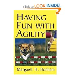 Having Fun With Agility