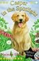 Animal Stars 2: Casper in the Spotlight Pb