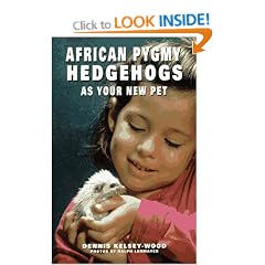 African Pygmy Hedgehogs (As a New Pet)
