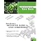 Everything you need to make good Mindstorms robots