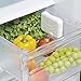 OXO GreenSaver Produce Keeper Mounted Crisper Drawer Insert with Suction Cups (2 Pack)