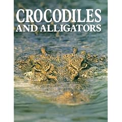 Crocodiles & Alligators