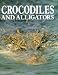 Crocodiles and Alligators