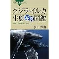 クジラ・イルカ生態写真図鑑 (ブルーバックス)