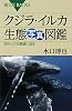 クジラ・イルカ生態写真図鑑 (ブルーバックス)