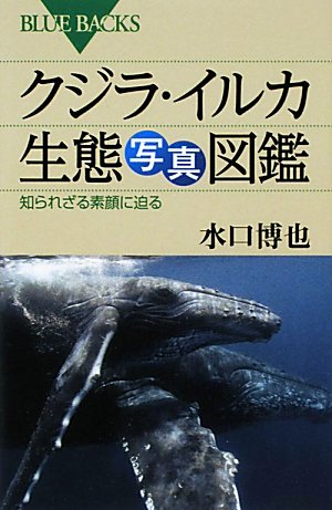 クジラ・イルカ生態写真図鑑 (ブルーバックス)