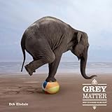 Grey matter : why it's good to be old!