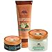 Tree Hut Shea Sugar Scrub Amazon Pequi, 18oz, Ultra Hydrating and Exfoliating Scrub for Nourishing Essential Body Care