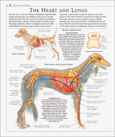 Cover image : The Encyclopedia of the Dog: The Definitive Visual Guide