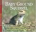 Nbs Baby Ground Squirrel: Baby Ground Squirrel (Nature Babies)