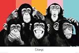 Produkt-Bild: Empire 499189 The Chimp - Compilation - Musik Tier Affen Poster Plakat Druck - Gr&ouml;sse 91.5 x 61 cm