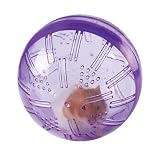 Pet Supplies : PURPLE - Small Animal Excercise Ball